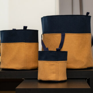 Sinised vildist korvid